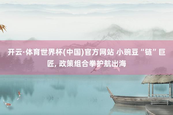 开云·体育世界杯(中国)官方网站 小豌豆“链”巨匠， 政策组合拳护航出海