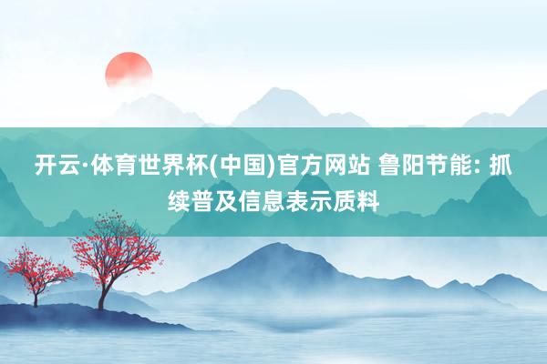 开云·体育世界杯(中国)官方网站 鲁阳节能: 抓续普及信息表示质料