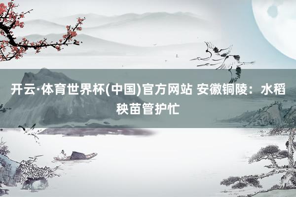 开云·体育世界杯(中国)官方网站 安徽铜陵：水稻秧苗管护忙