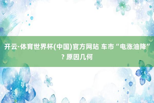 开云·体育世界杯(中国)官方网站 车市“电涨油降”? 原因几何