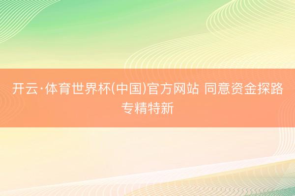 开云·体育世界杯(中国)官方网站 同意资金探路专精特新