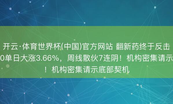 开云·体育世界杯(中国)官方网站 翻新药终于反击！520880单日大涨3.66%，周线散伙7连阴！机构密集请示底部契机