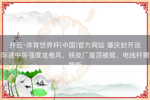 开云·体育世界杯(中国)官方网站 肇庆封开说明际遇中等强度龙卷风,铁皮厂屋顶被掀、电线杆撅断
