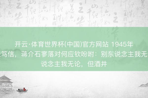 开云·体育世界杯(中国)官方网站 1945年,日本靡烂笃信,蒋介石寥落对何应钦吩咐:别东说念主我无论,但酒井